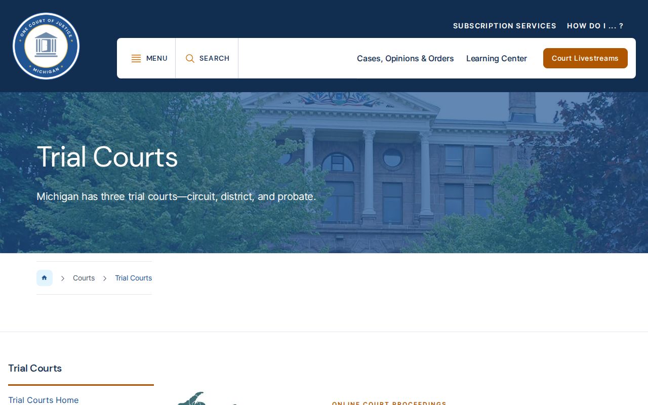 Allegan County criminal court record structure in Michigan
